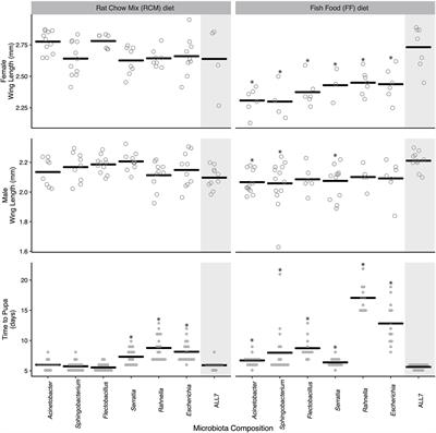 Diet–Microbiota Interactions Alter Mosquito Development